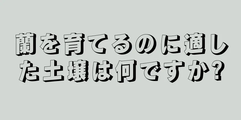 蘭を育てるのに適した土壌は何ですか?