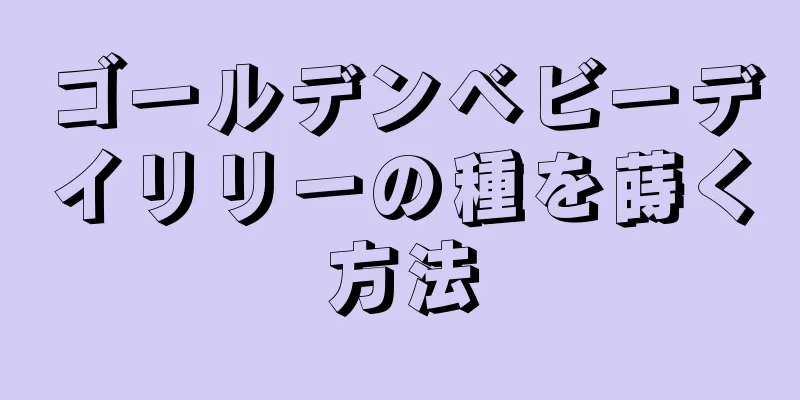 ゴールデンベビーデイリリーの種を蒔く方法