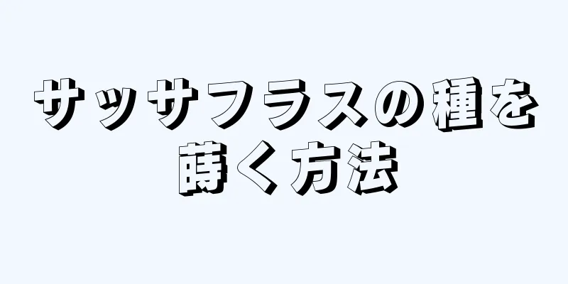 サッサフラスの種を蒔く方法