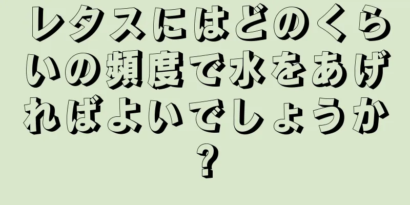 レタスにはどのくらいの頻度で水をあげればよいでしょうか?