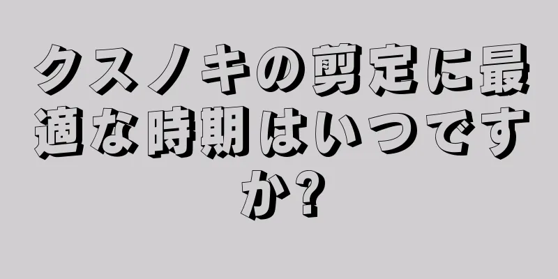 クスノキの剪定に最適な時期はいつですか?