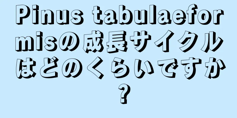 Pinus tabulaeformisの成長サイクルはどのくらいですか？