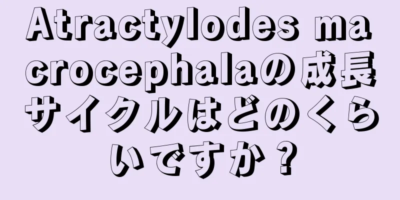 Atractylodes macrocephalaの成長サイクルはどのくらいですか？