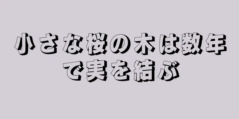 小さな桜の木は数年で実を結ぶ