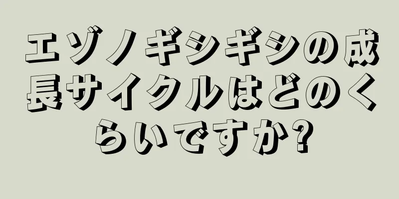 エゾノギシギシの成長サイクルはどのくらいですか?