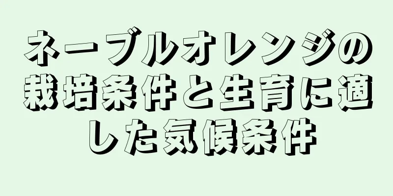 ネーブルオレンジの栽培条件と生育に適した気候条件