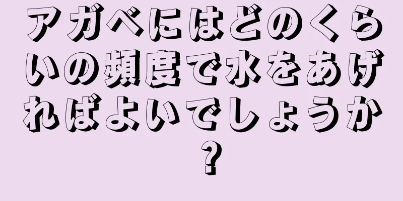 アガベにはどのくらいの頻度で水をあげればよいでしょうか？