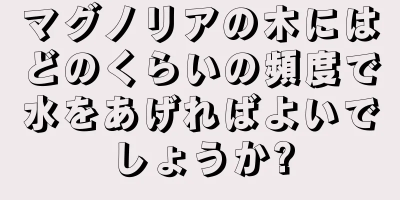 マグノリアの木にはどのくらいの頻度で水をあげればよいでしょうか?