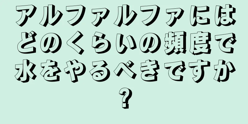 アルファルファにはどのくらいの頻度で水をやるべきですか?