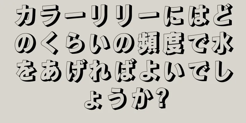 カラーリリーにはどのくらいの頻度で水をあげればよいでしょうか?