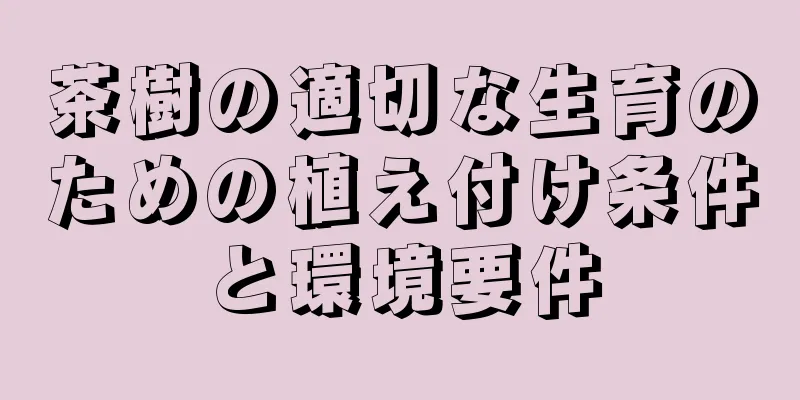 茶樹の適切な生育のための植え付け条件と環境要件
