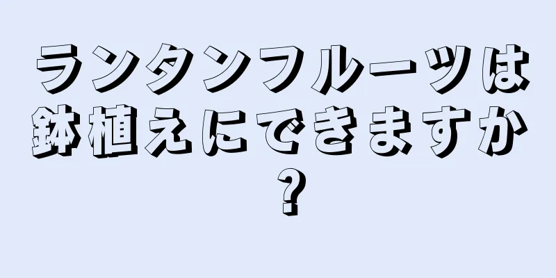 ランタンフルーツは鉢植えにできますか？