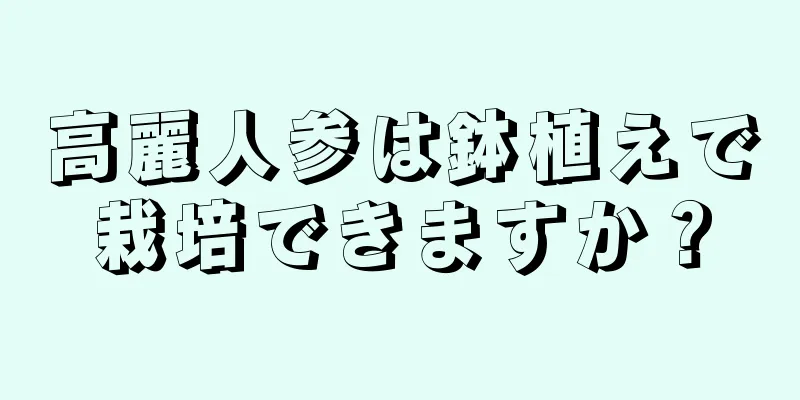 高麗人参は鉢植えで栽培できますか？