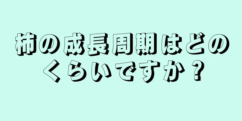 柿の成長周期はどのくらいですか？