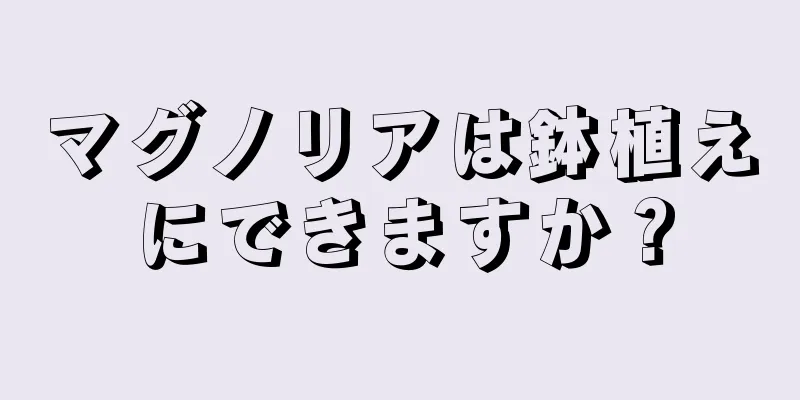 マグノリアは鉢植えにできますか？