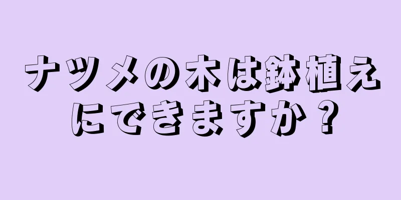 ナツメの木は鉢植えにできますか？
