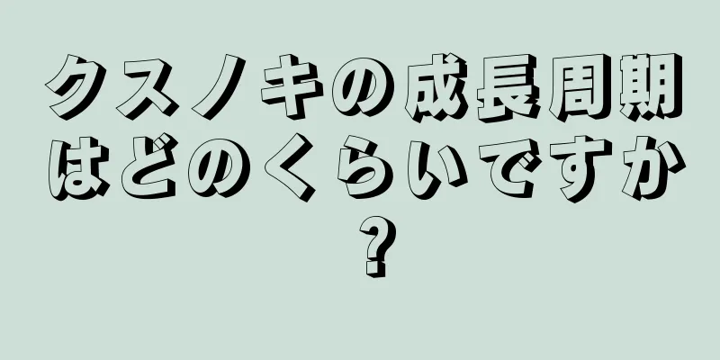 クスノキの成長周期はどのくらいですか？