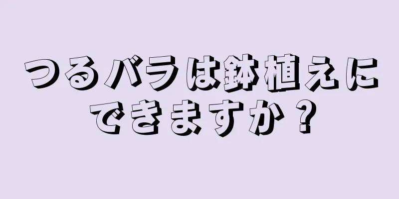 つるバラは鉢植えにできますか？