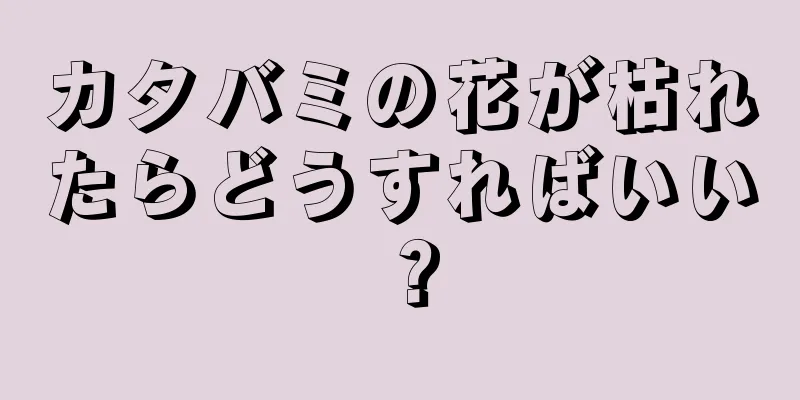 カタバミの花が枯れたらどうすればいい？