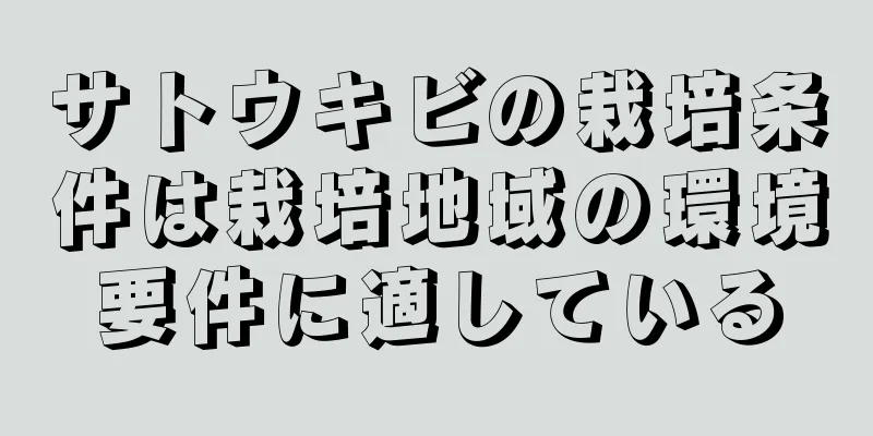サトウキビの栽培条件は栽培地域の環境要件に適している