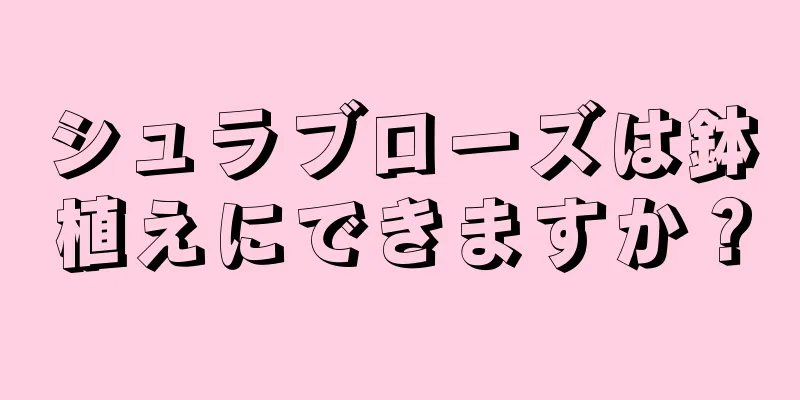 シュラブローズは鉢植えにできますか？