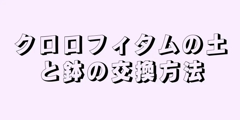 クロロフィタムの土と鉢の交換方法