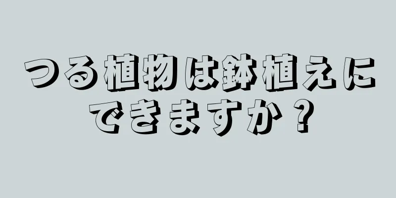 つる植物は鉢植えにできますか？