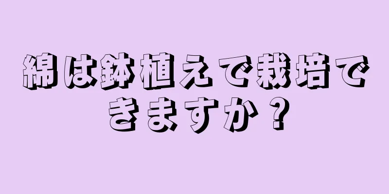綿は鉢植えで栽培できますか？