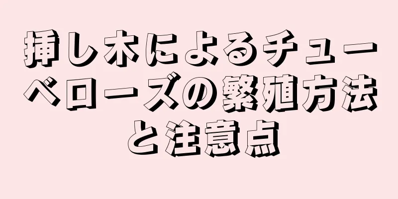 挿し木によるチューベローズの繁殖方法と注意点