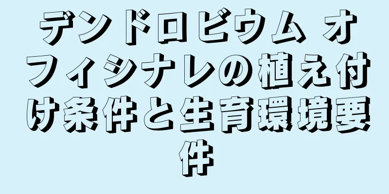 デンドロビウム オフィシナレの植え付け条件と生育環境要件