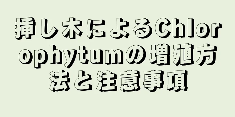 挿し木によるChlorophytumの増殖方法と注意事項