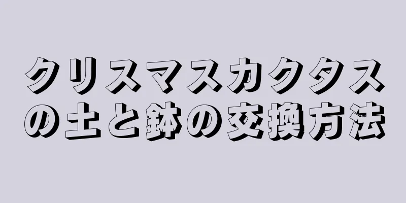 クリスマスカクタスの土と鉢の交換方法