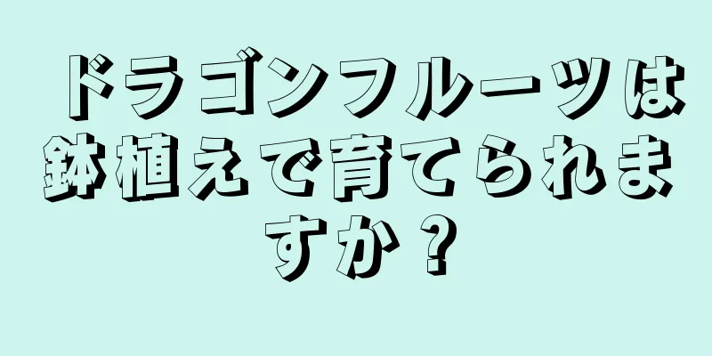 ドラゴンフルーツは鉢植えで育てられますか？