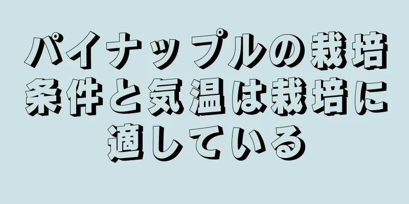 パイナップルの栽培条件と気温は栽培に適している