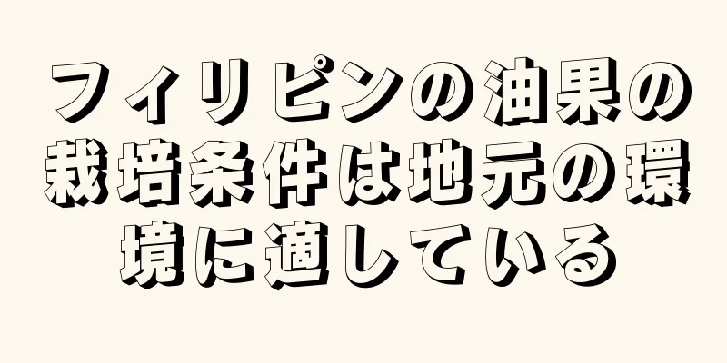 フィリピンの油果の栽培条件は地元の環境に適している