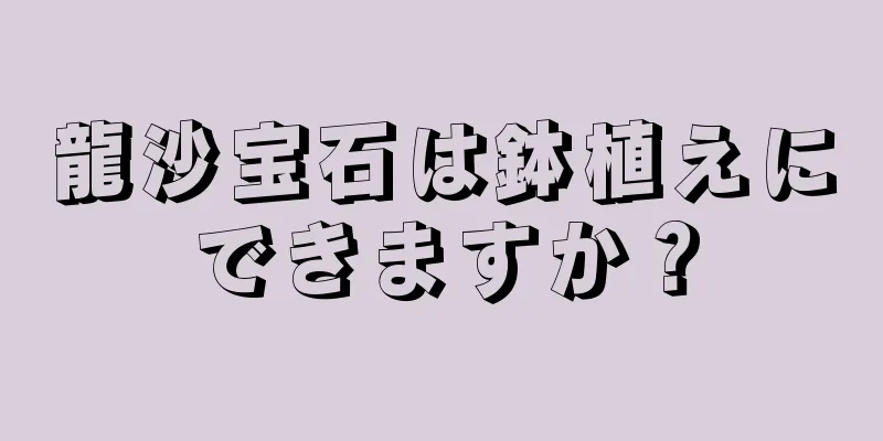 龍沙宝石は鉢植えにできますか？