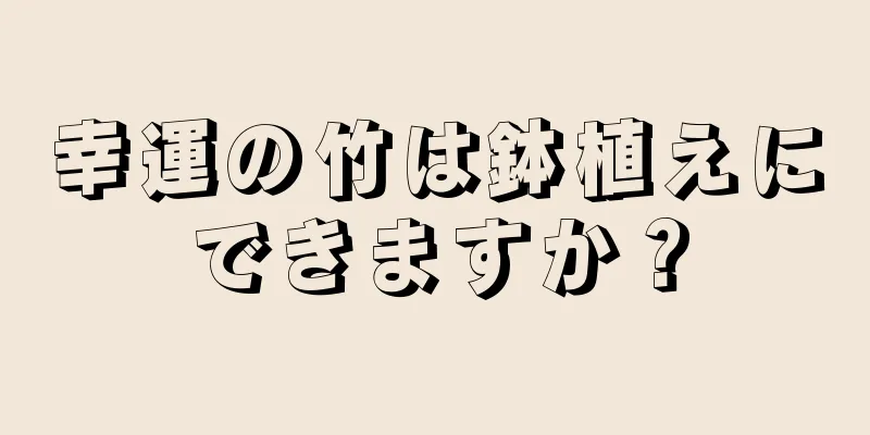 幸運の竹は鉢植えにできますか？