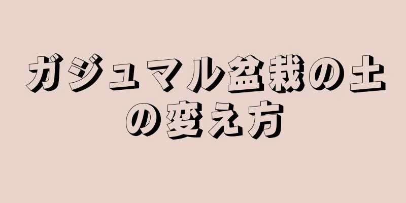 ガジュマル盆栽の土の変え方