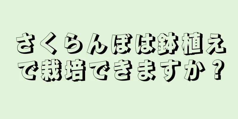 さくらんぼは鉢植えで栽培できますか？