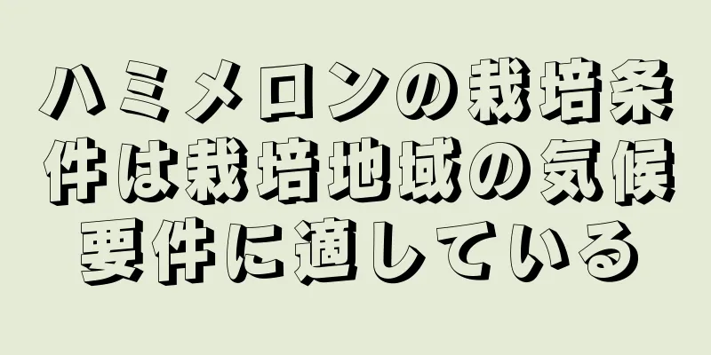 ハミメロンの栽培条件は栽培地域の気候要件に適している