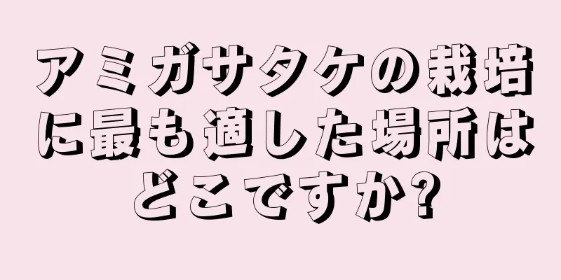 アミガサタケの栽培に最も適した場所はどこですか?