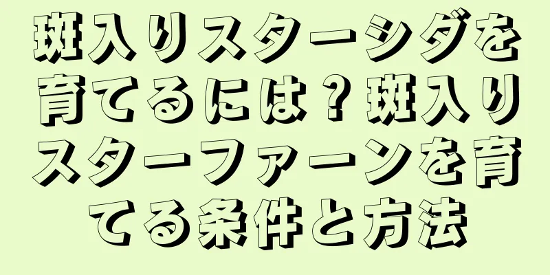 斑入りスターシダを育てるには？斑入りスターファーンを育てる条件と方法