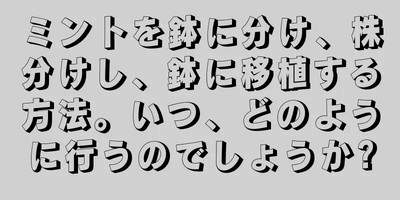 ミントを鉢に分け、株分けし、鉢に移植する方法。いつ、どのように行うのでしょうか?