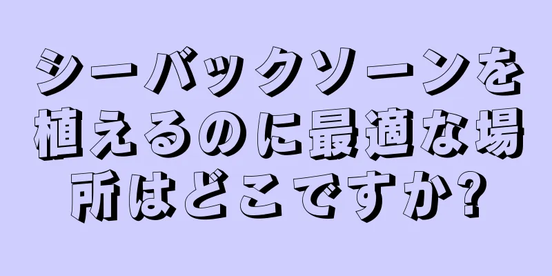 シーバックソーンを植えるのに最適な場所はどこですか?