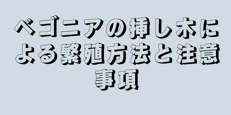 ベゴニアの挿し木による繁殖方法と注意事項
