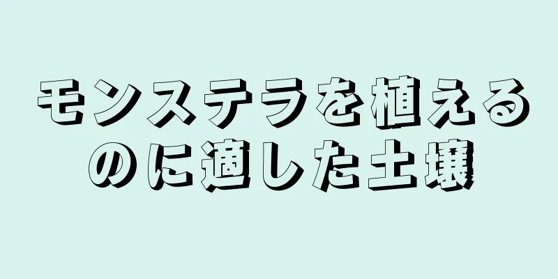 モンステラを植えるのに適した土壌