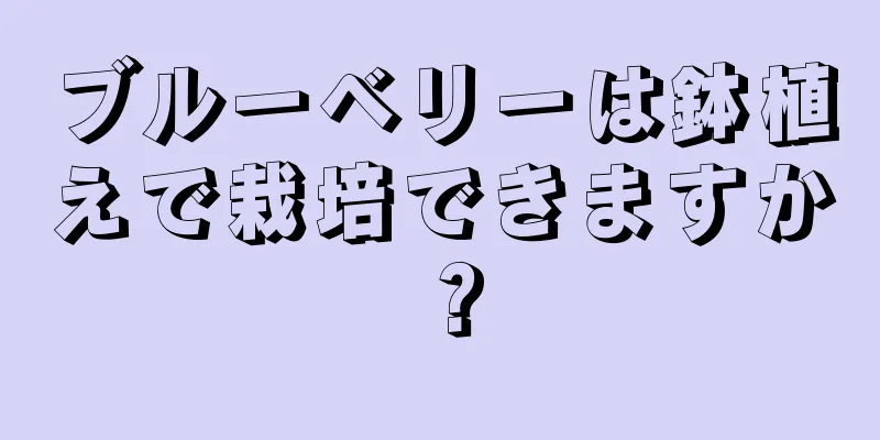 ブルーベリーは鉢植えで栽培できますか？