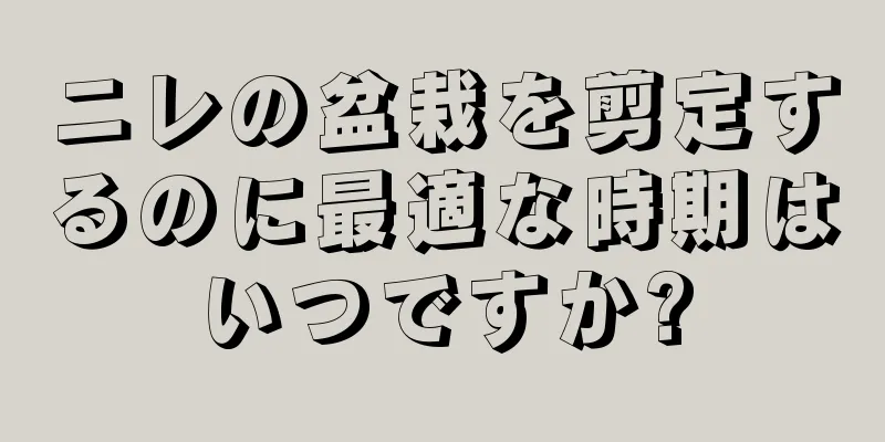 ニレの盆栽を剪定するのに最適な時期はいつですか?