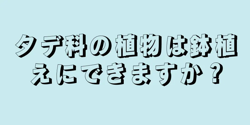 タデ科の植物は鉢植えにできますか？