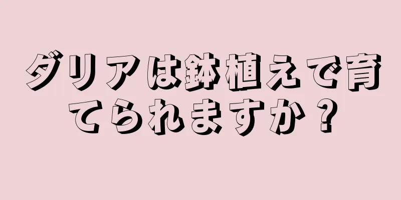 ダリアは鉢植えで育てられますか？